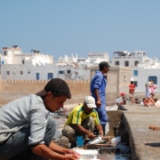 Essaouira (14)